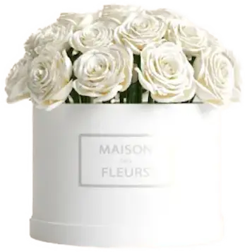 Luxury Sunshine Flower Box